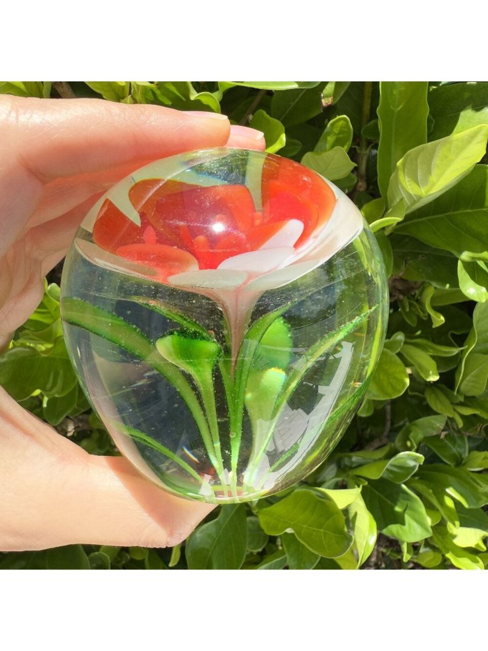Vintage Art Glass Flower Paperweight Red White Green Layered Petals Cottage